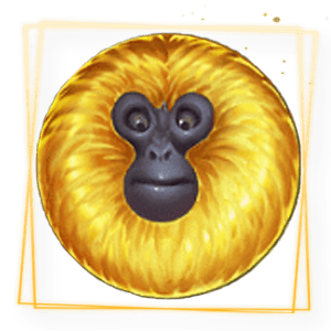 7 monkeys special symbols
