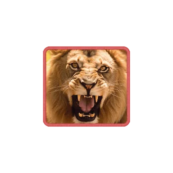 safari wilds symbol h lion a