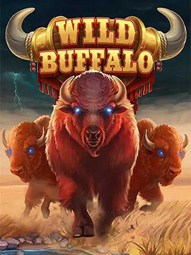 wild buffalo