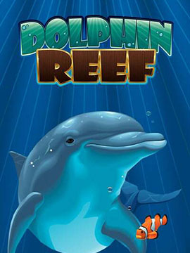 dolphin reef